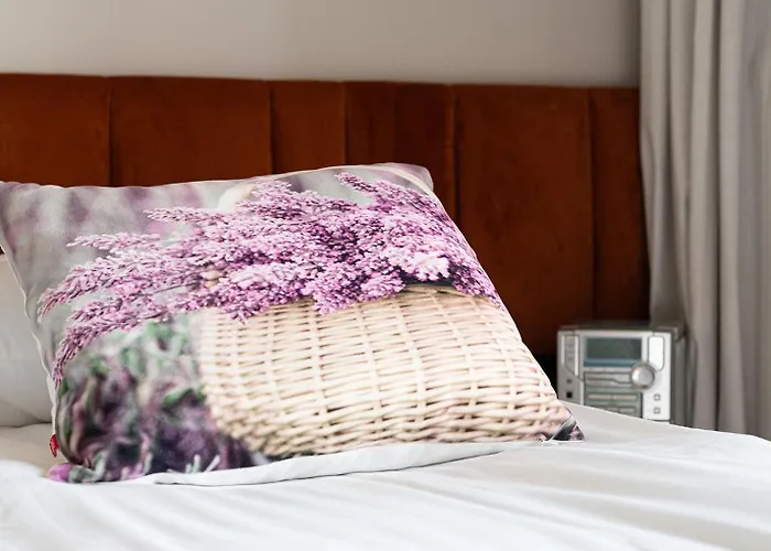 Rentplanet - Diasfera *